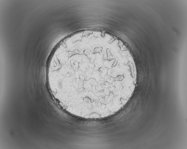 X0000112831079200910021218