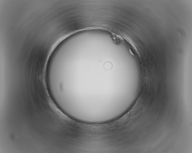 X0000112831080200910021218