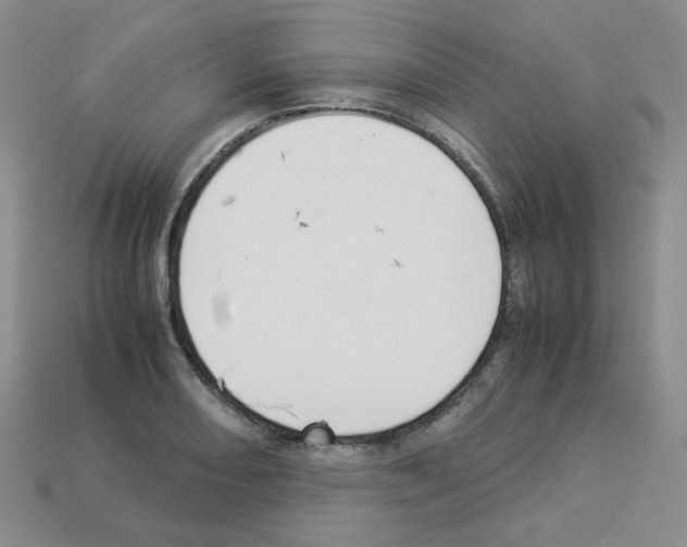 X0000112831082200910021218