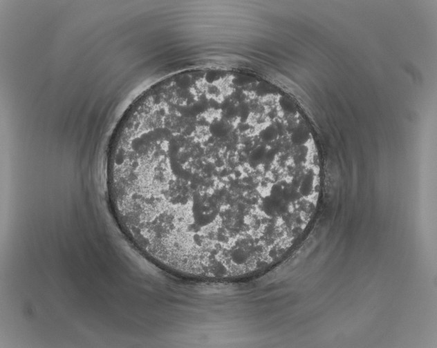 X0000112831083200910021218