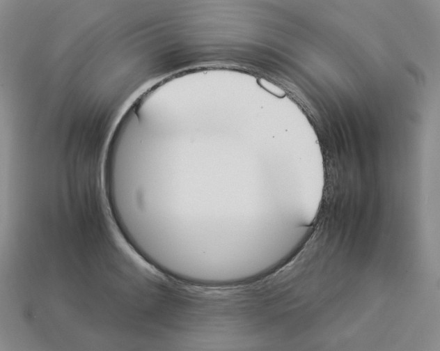 X0000112831084200910021218