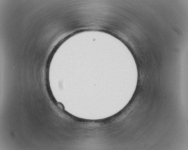 X0000112831085200910021218