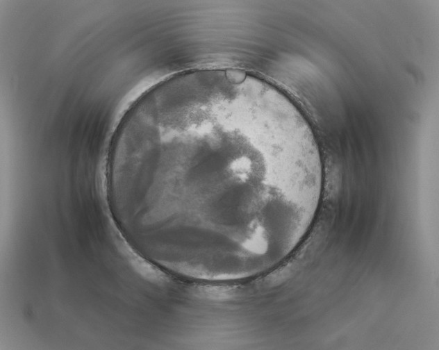 X0000112831086200910021218