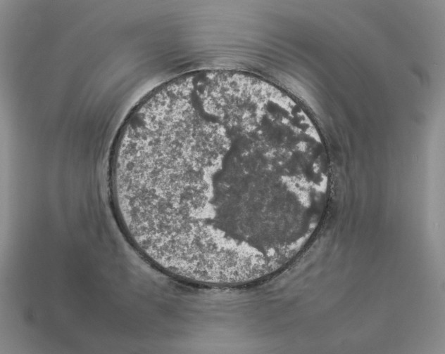 X0000112831087200910021218