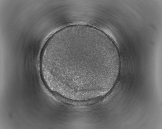 X0000112831088200910021218