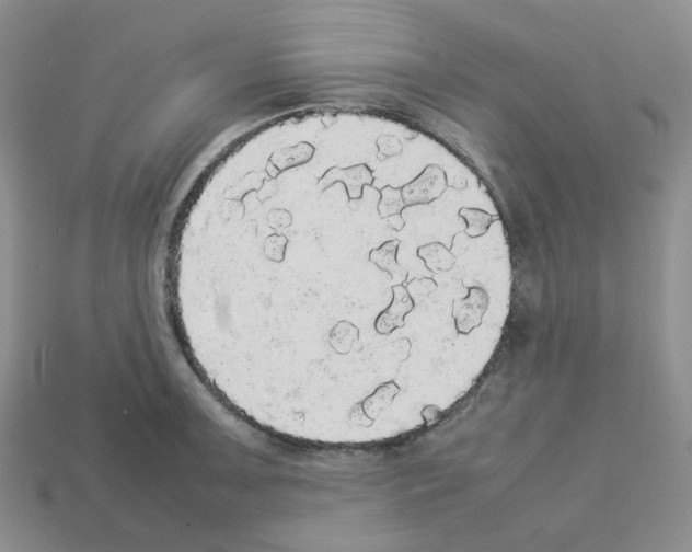 X0000112831091200910021217