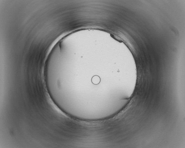 X0000112831092200910021217