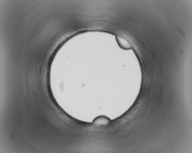 X0000112831093200910021217