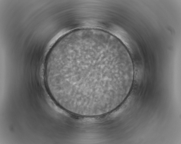 X0000112831094200910021217