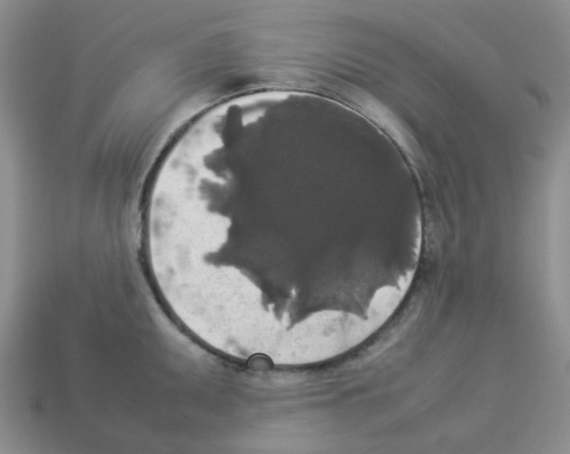 X0000112831095200910021217