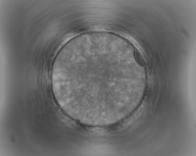 X0000112831097200910021217