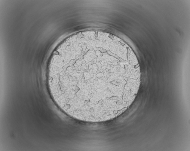 X0000112831099200910021217