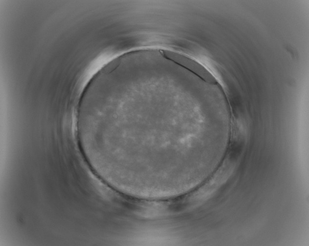 X0000112831101200910021217