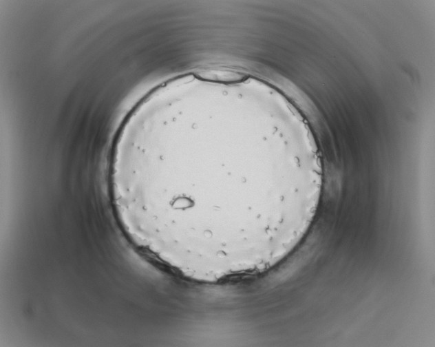 X0000112831102200910021217