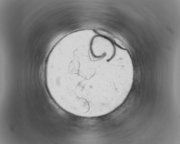 X0000112831103200910021217