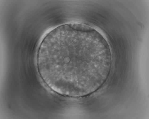 X0000112831104200910021217