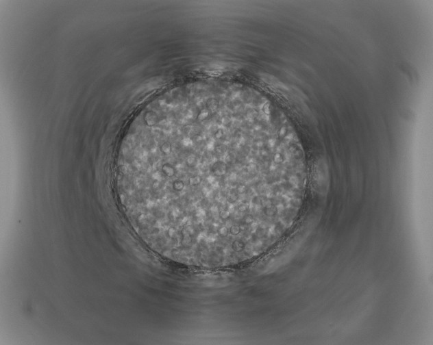 X0000112831105200910021217