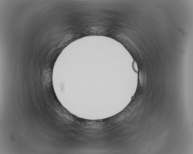 X0000112831107200910021217