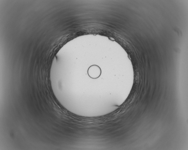 X0000112831108200910021217