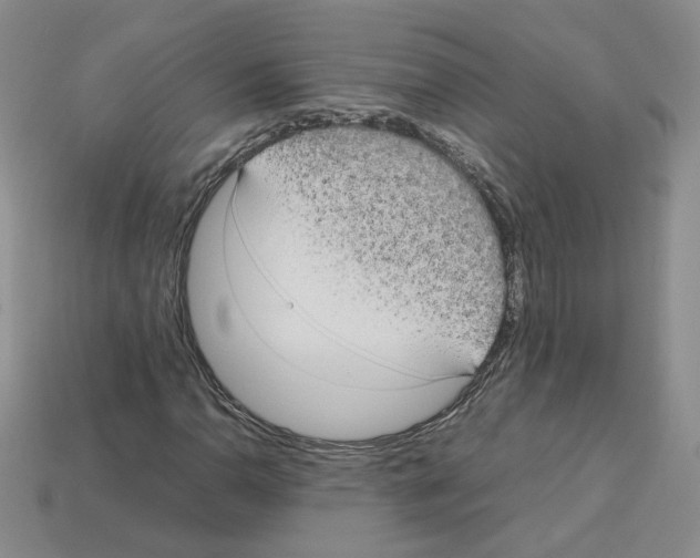 X0000112831110200910021217