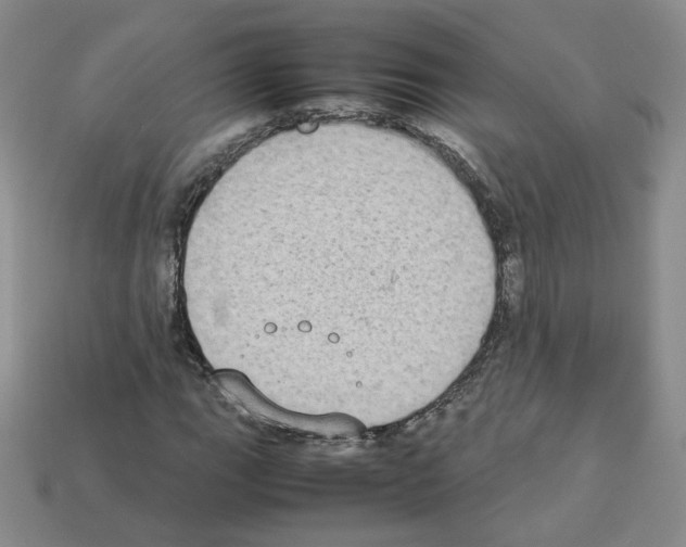 X0000112831111200910021217