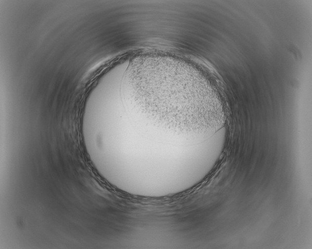 X0000112831112200910021217