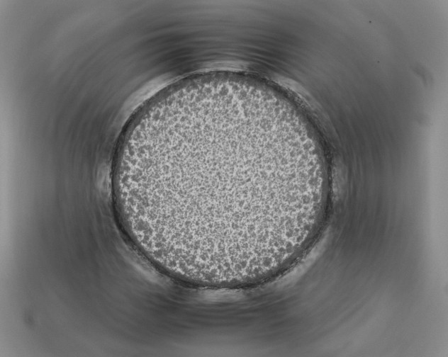 X0000112831113200910021217