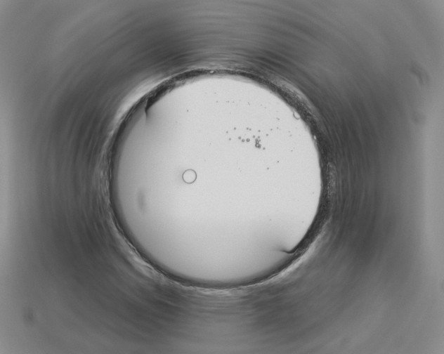 X0000112831114200910021217