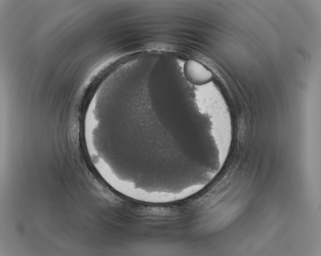 X0000112831115200910021217