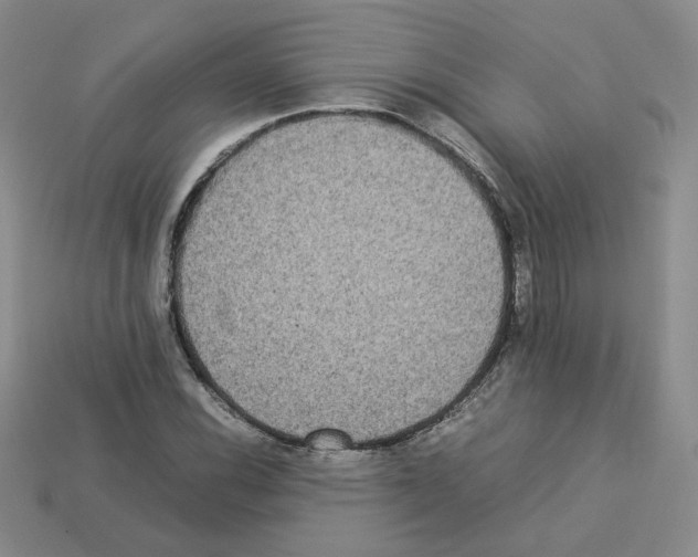 X0000112831116200910021217