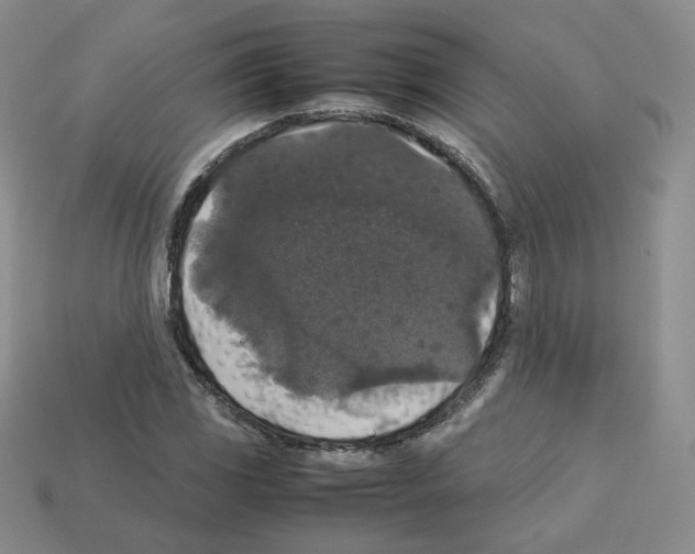 X0000112831117200910021217