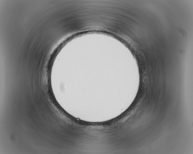 X0000112831118200910021217