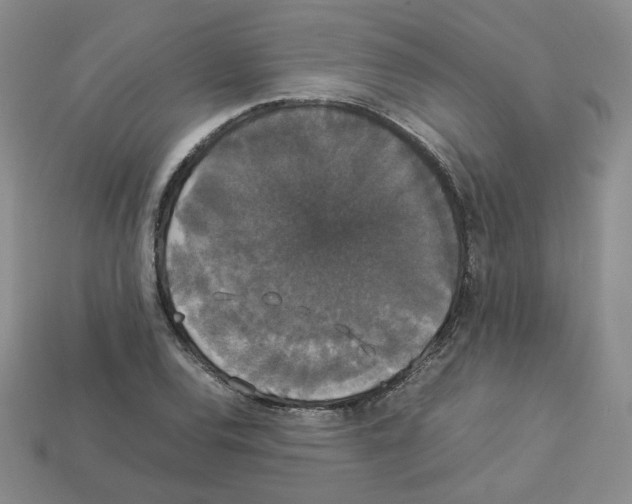 X0000112831120200910021217