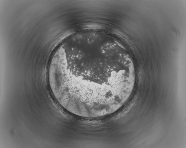 X0000112831121200910021217