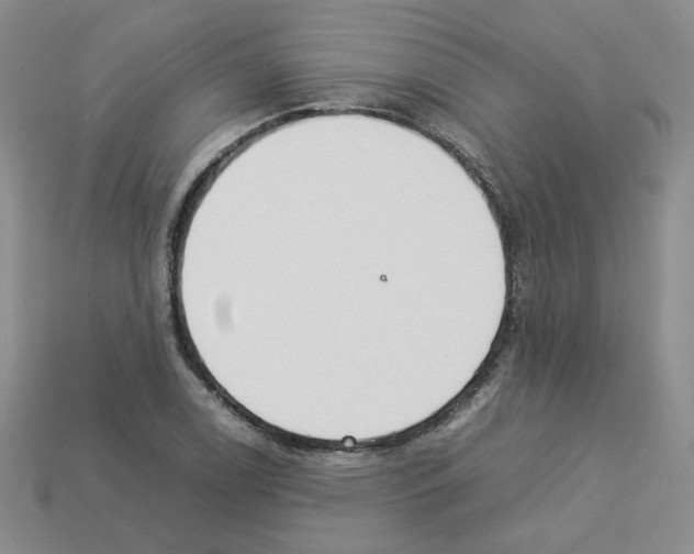 X0000112831122200910021217