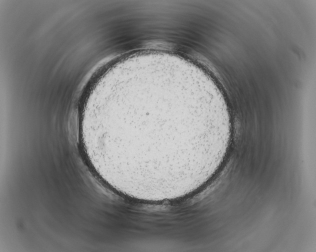 X0000112831123200910021217