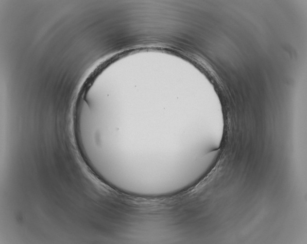 X0000112831124200910021217