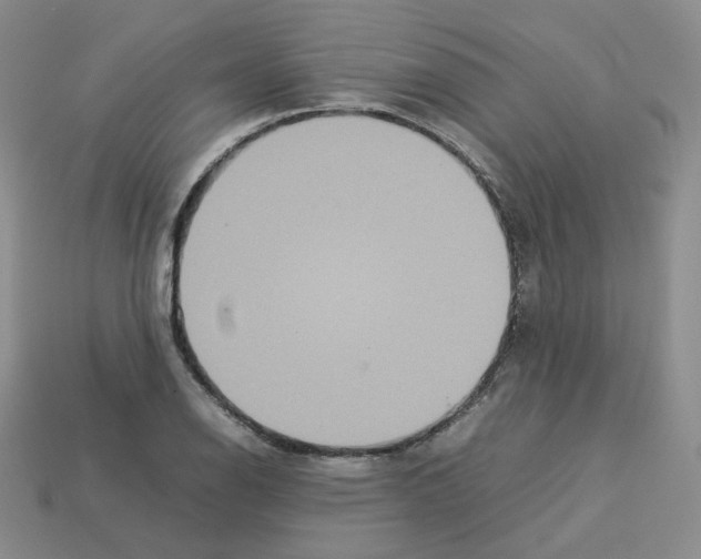 X0000112831126200910021217