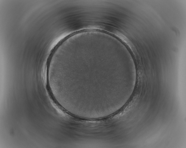 X0000112831127200910021217