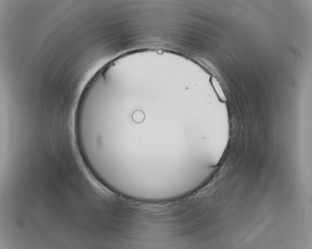 X0000112831128200910021217