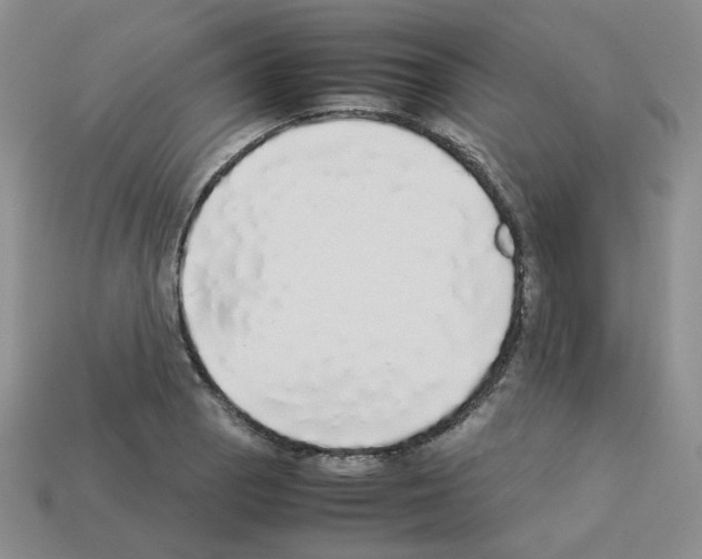 X0000112831129200910021217