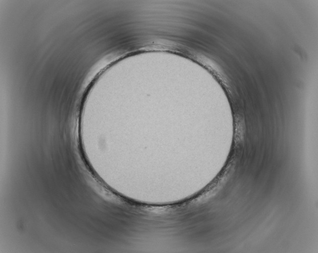 X0000112831130200910021217