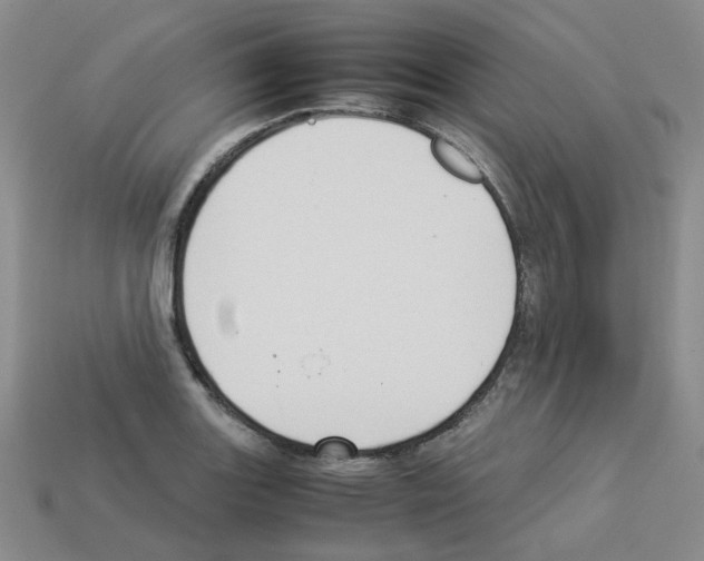 X0000112831131200910021217