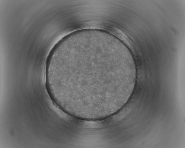 X0000112831132200910021217