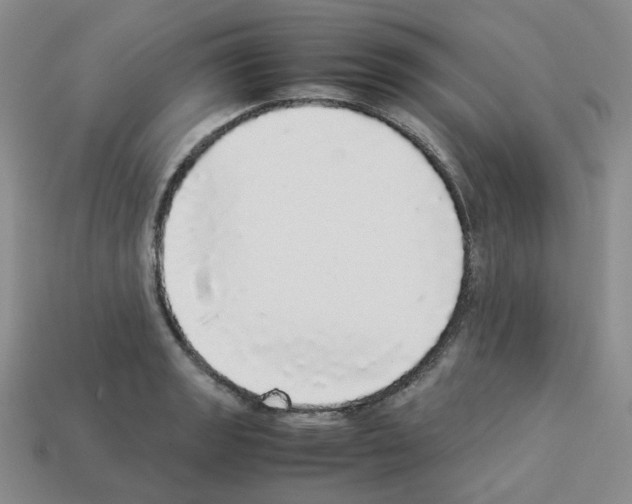 X0000112831133200910021217