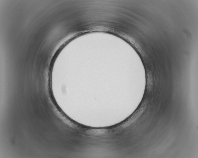 X0000112831134200910021217