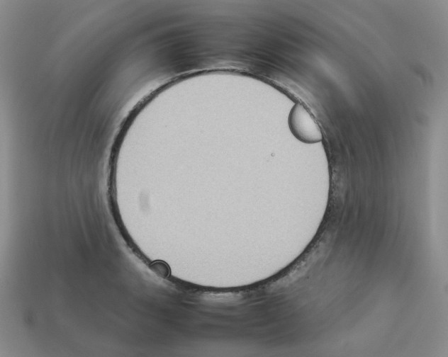 X0000112831135200910021217