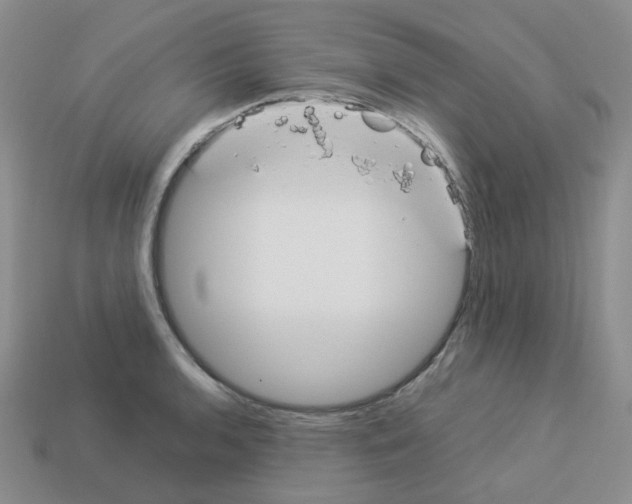 X0000112831136200910021217