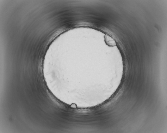 X0000112831137200910021217