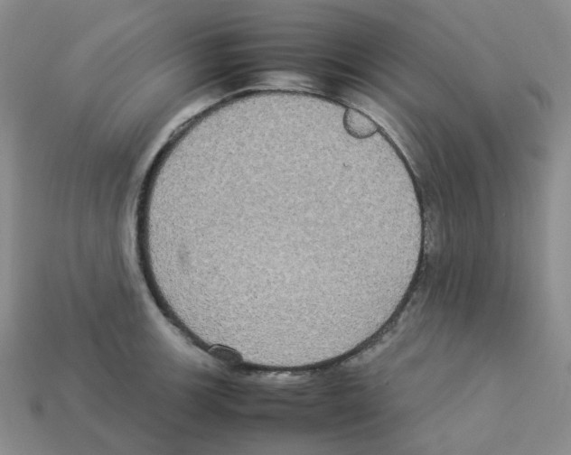 X0000112831139200910021217